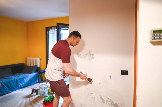 Best Attic Mold Removal  in Fallbrook, CA